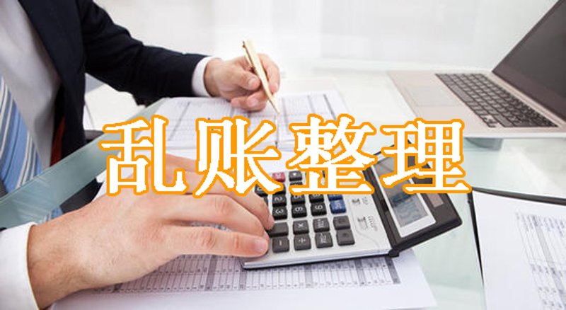 一般纳税人代理记账的重要性与未来发展